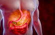 © Superrider - Symptoms of acid reflux or excess acid in the stomach. Gastric juice and intestinal model within the abdominal cavity. Burning sensation in the middle of the chest, acid reflux. 3D Rendering.