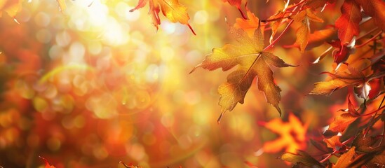Aufkleber - Autumn themed close up image featuring foliage with copy space image