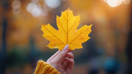 Poster - yellow leaf in female hand autumn season leaves good weather cozy autumn natural environmental concept banner for designer for postcards wallpapers banner with blurry bokeh : Generative AI
