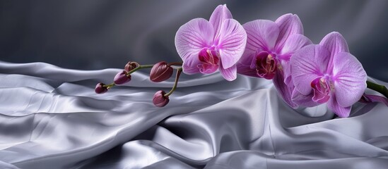 Aufkleber - Phalaenopsis orchid in bloom with a silver cloth background perfect for a copy space image
