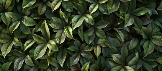 Aufkleber - A backdrop featuring the foliage of the Livistona chinensis plant with blank copy space image