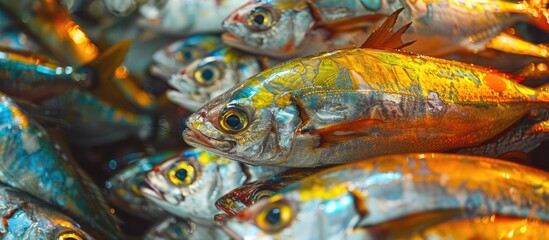 Aufkleber - Fish displayed for sale at a market with copy space image