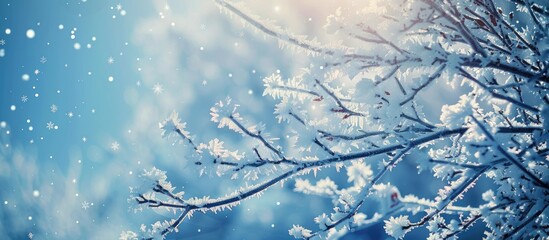 Aufkleber - Frost covered branches on a cold day with snowflakes Capture the serene beauty with a stunning copy space image