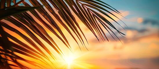 Poster - Sunset sky in the background of a palm leaf with copy space image