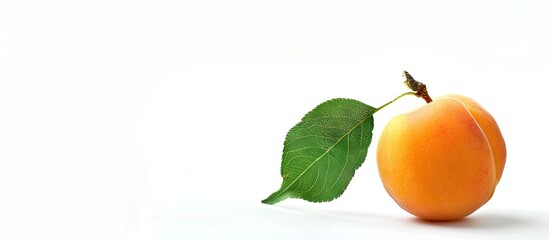 Aufkleber - Isolated on a white background an apricot fruit with a green leaf is displayed with a clipping path for easy editing alongside a copy space image