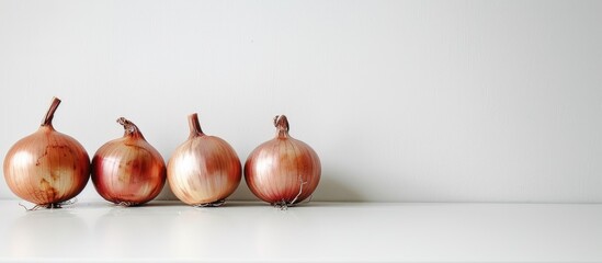 Poster - Onions placed alone with white background providing ample copy space image