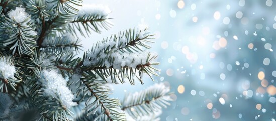 Poster - Snow covered Christmas tree branches create a festive scene with copy space image