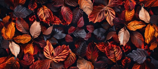 Poster - Horizontal image featuring autumn leaves texture with empty space for text in the center perfect for a copy space image