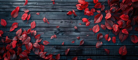 Aufkleber - Top down view of autumn s red leaves against a dark wooden backdrop with copy space image available