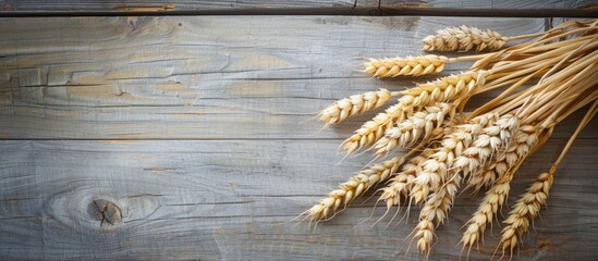 Poster - Bunch of wheat displayed on a wooden surface Harvest theme with copy space image