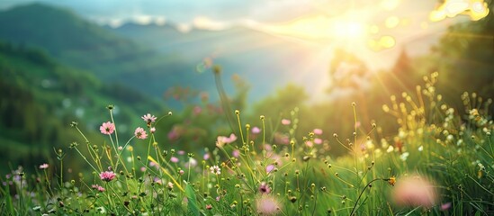 Poster - Beautiful nature themed travel photo with a blurred background and empty copy space image