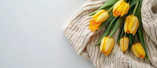 Poster - Top view of a yellow tulip bouquet on a white background next to a knitted sweater with copy space image ideal for celebrating Women s Day and representing spring blooms