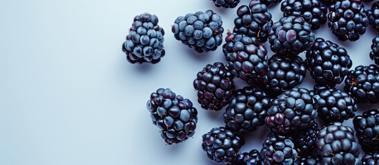 Wall Mural - Top view of a fresh blackberry on a white background ideal for adding text in the available copy space image