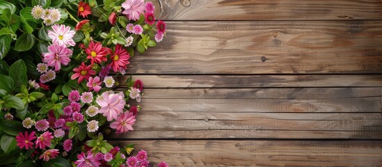 Aufkleber - Variety of garden blooms on a wooden backdrop with room for text Top view with a copy space image