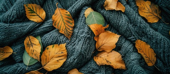 Wall Mural - Copy space image of yellow green leaves drying on a woolen surface in a flat lay composition