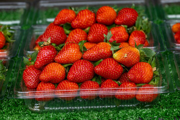 Fresh ripe organic strawberry in basket displayed for sale.