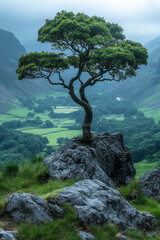 Wall Mural - A towering ancient tree stands as the Sentinel of the Vale, its branches reaching out like protective arms over the valley below,