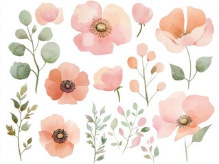 Poster - set of hand drawn watercolor flowers soft pastel color