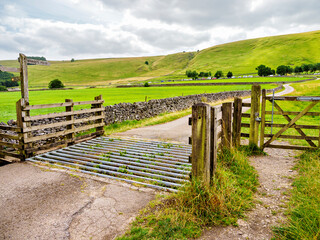 Wall Mural - Scenic rural path with cattle grid and wooden gate leading through lush green fields and rolling hills.