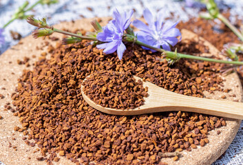 Ground chicory root on a wooden spoon and chicory flowers on a rustic wooden background. Alternative medicine. Healthy drinks. chicory drink