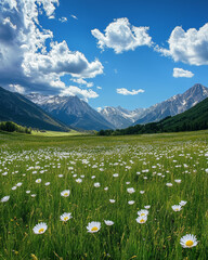  A wide meadow in the valley of mountains, green grass and white wildflowers on it, mountains with blue sky and clouds behind them