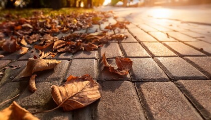 withered brown leaves on the sidewalk in closeup