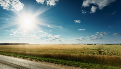 Wall Mural - drive side pov along large field with a bright sun in the sky the sun is shining brightly and the sky is clear