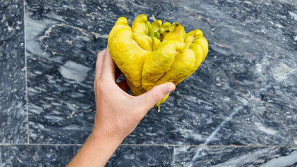 a caucasian hand holding a buddha's hand citron against a marble background, symbolizing unusual fru