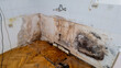 © fotoworld - Severe mold and water damage in a neglected kitchen corner, illustrating home maintenance issues and health risks