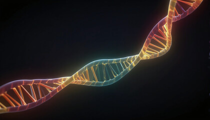 Wall Mural - Illustrative depiction of nucleic acid double helix with connected nucleic acid molecules often called dna strand