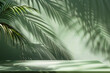 © Саша Силенко - green background with tropical leaves and their shadow on the walls. empty studio for presentation. product demonstration