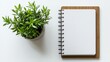 ©  Visual Pioneer - Top view of a minimalist workspace featuring a blank spiral notebook on a wooden clipboard, accompanied by a green potted plant, emphasizing simplicity and organization.