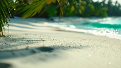 Poster - Pristine white sandy beach with palm trees and crystal clear ocean water, perfect for a tropical getaway.