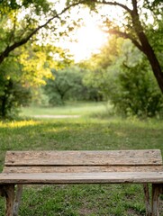 Wall Mural - Peaceful nature scene with wooden bench