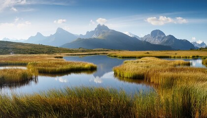 Poster - a marsh with a mountain range in the background