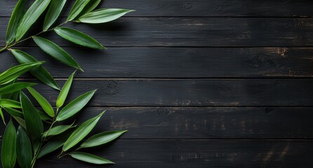 Sticker - green leaves on dark wooden background