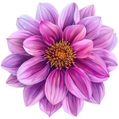 Wall Mural - artistic purple pink flower illustration isolated on a white background