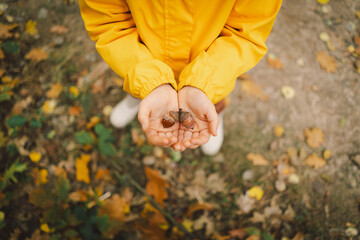 a young child wearing a bright yellow raincoat joyfully holds two acorns in their hands while surrou