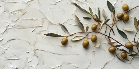 olives and twigs on white textured background