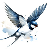 흰 배경, 제비, 수채화 (white background, Swallow, water colour)