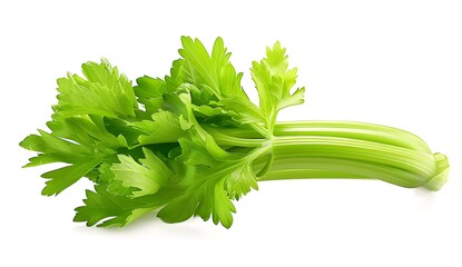 Sticker - Fresh Green Celery Isolated On White