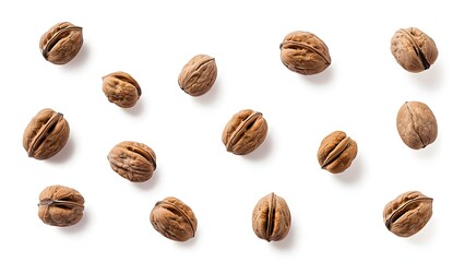 Wall Mural - Walnuts on white background