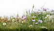© Hisyam - Closeup panorama banner of a meadow with green grass and wild flowers