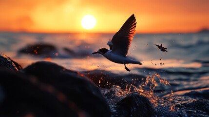 Canvas Print -  A bird soaring above a tranquil body of water as the sun sets and casts an orange glow behind it, a lone rock juts out from the water's edge in