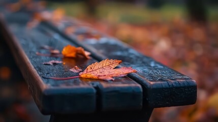 Sticker -  A tight shot of a bench with a single leaf lying flat and a hazy backdrop of leaves surrounding it