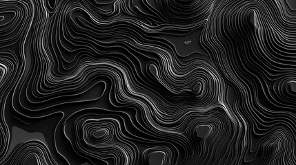 Wall Mural - Abstract Black and White Contour Lines Pattern