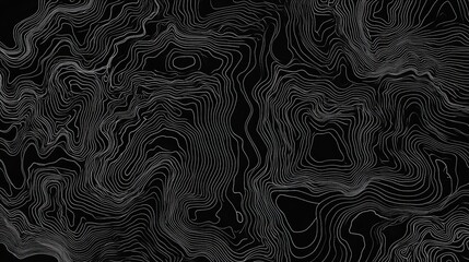 Wall Mural - Abstract Topography Lines Pattern on Black Background