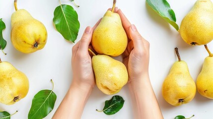 Sticker -   A person holds a basket of pears in front of a backdrop of green pear leaves on a white surface