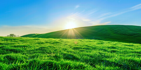 Poster - A green bright meadow