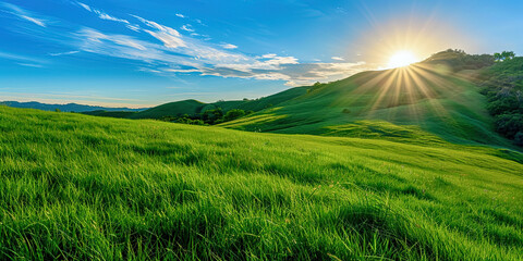 Poster - A green bright meadow